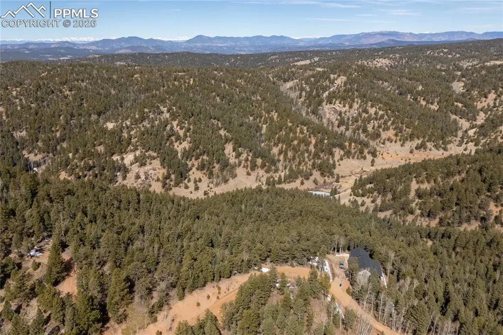 81 Haven Road Divide, CO 80814
