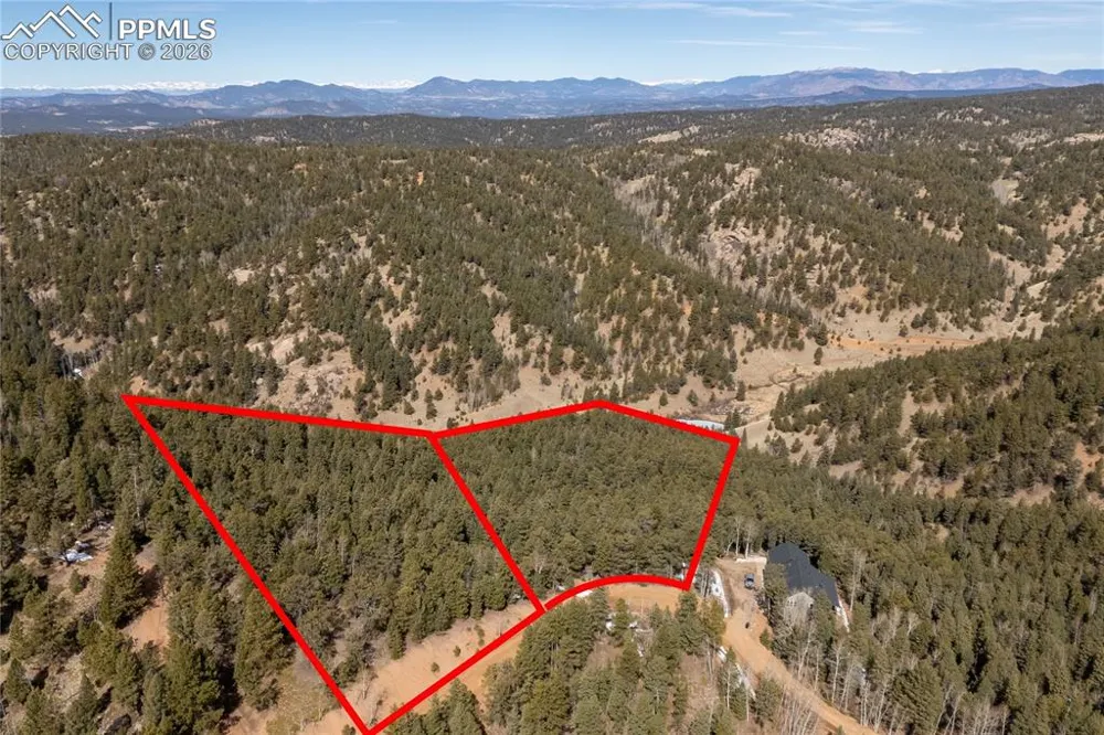 81 Haven Road Divide, CO 80814