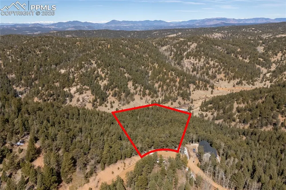 81 Haven Road Divide, CO 80814
