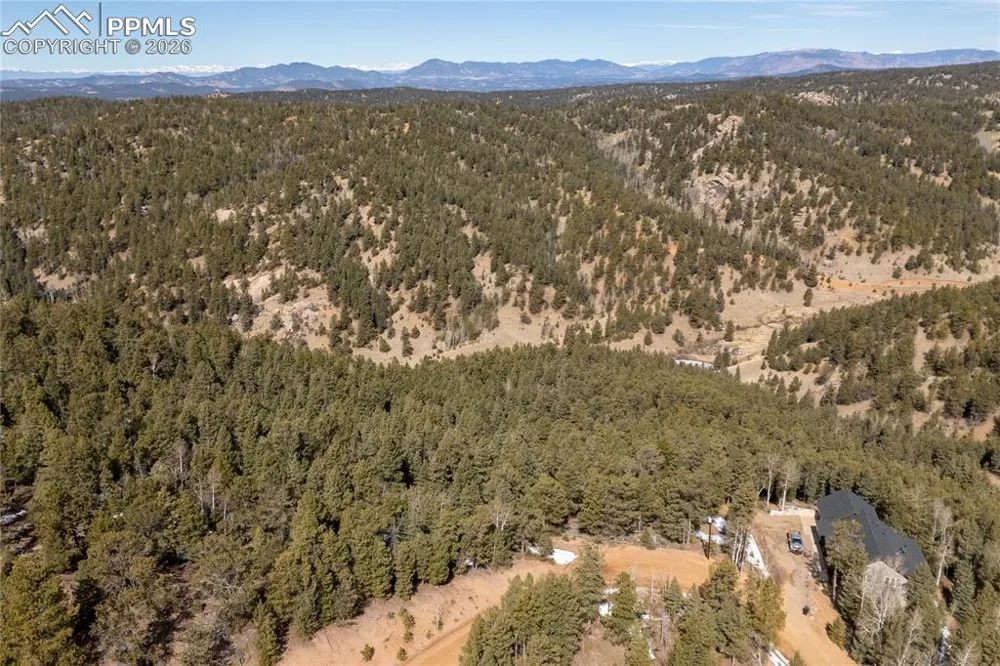 81 Haven Road Divide, CO 80814