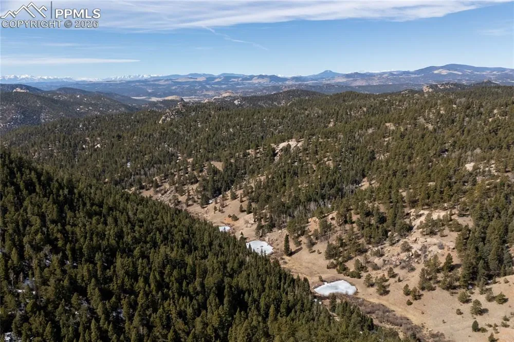 81 Haven Road Divide, CO 80814