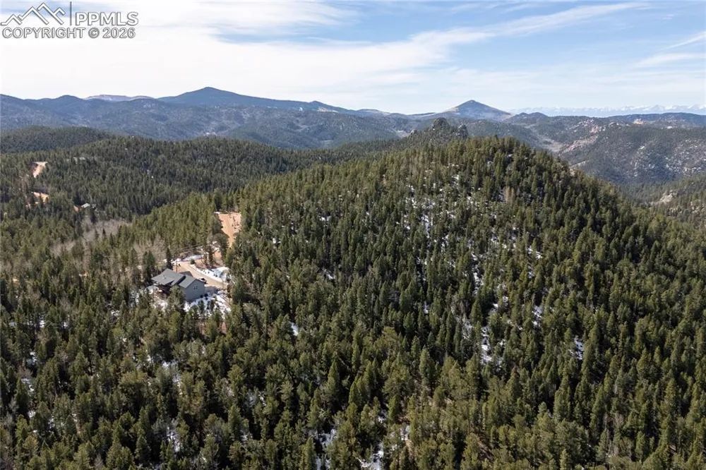 81 Haven Road Divide, CO 80814