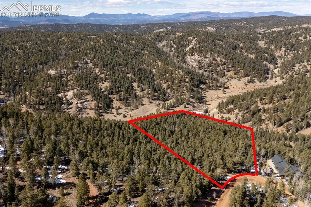 81 Haven Road Divide, CO 80814