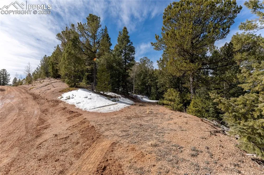 81 Haven Road Divide, CO 80814