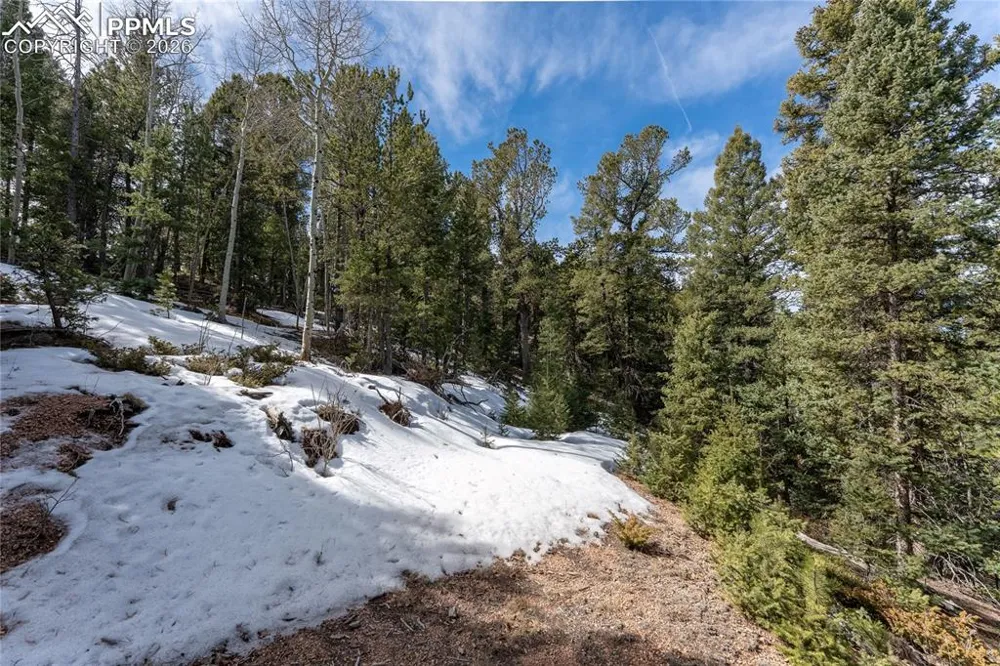 81 Haven Road Divide, CO 80814