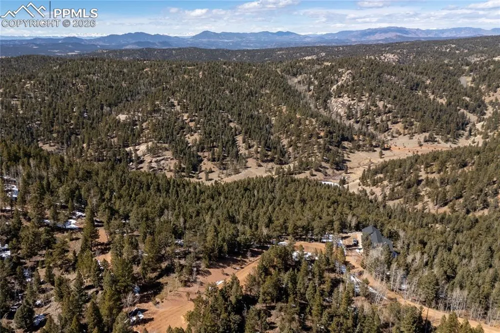 81 Haven Road Divide, CO 80814
