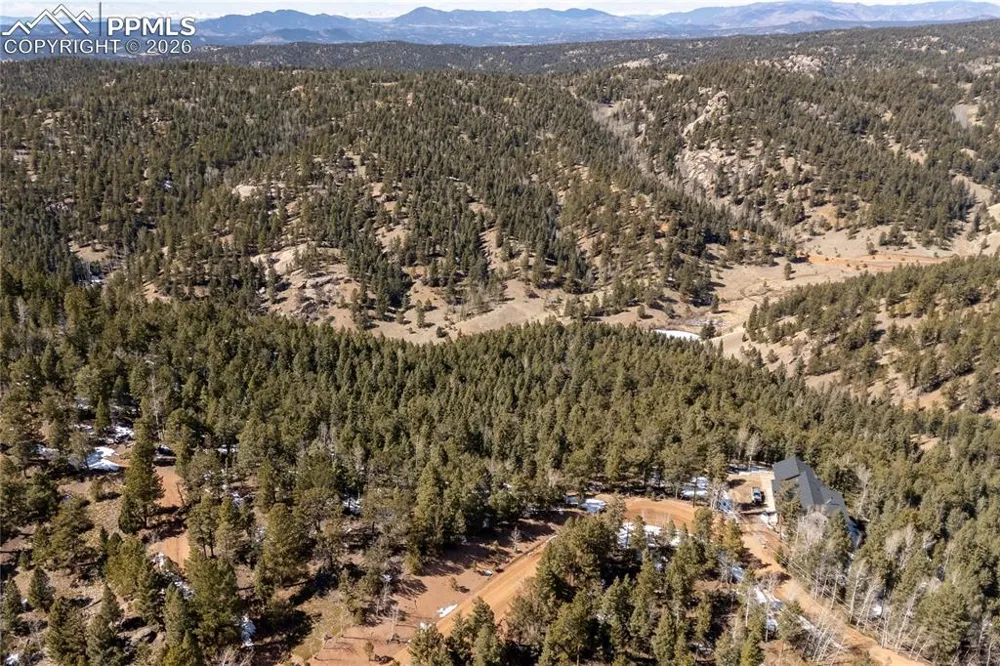 81 Haven Road Divide, CO 80814