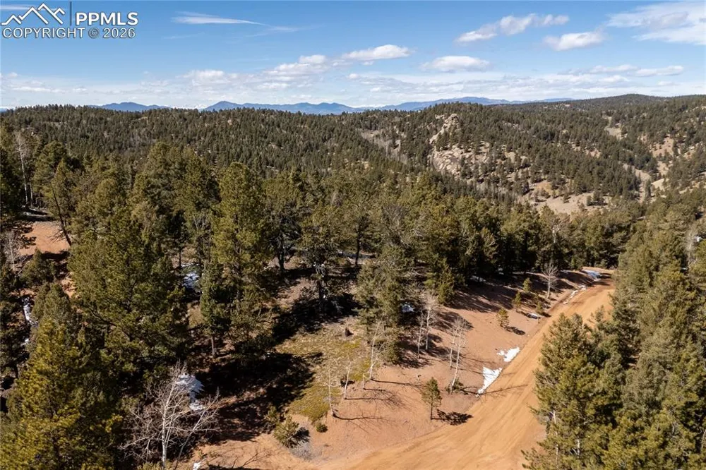 81 Haven Road Divide, CO 80814