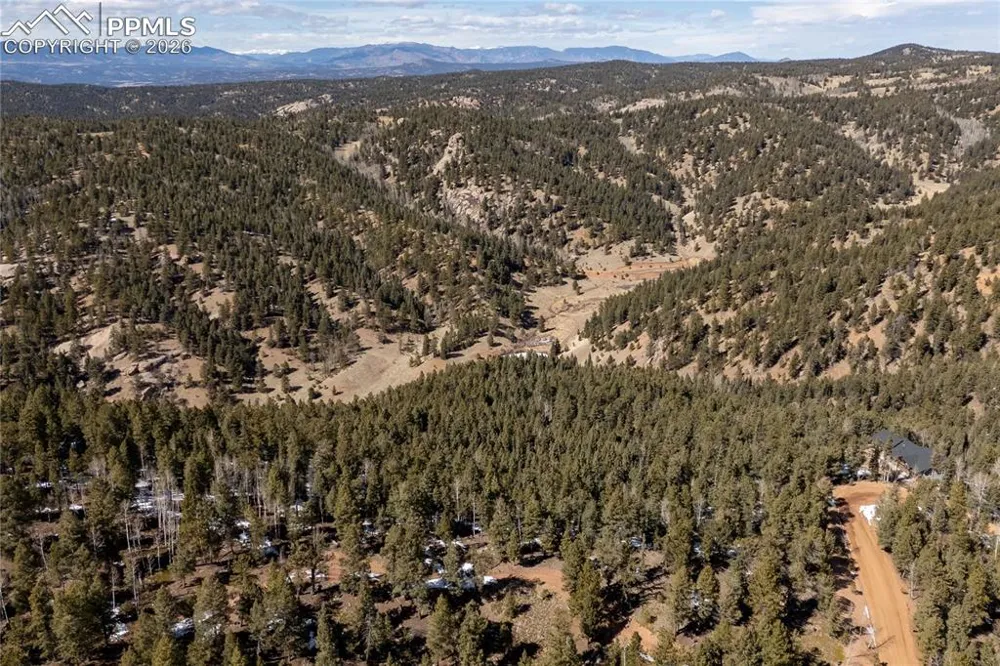 81 Haven Road Divide, CO 80814
