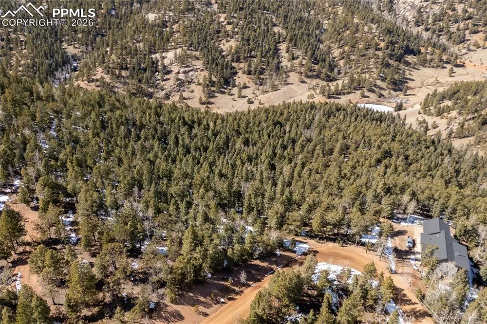 81 Haven Road Divide, CO 80814
