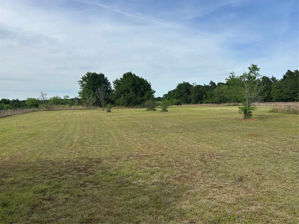 253 Lcr 432 Mexia, TX 76667