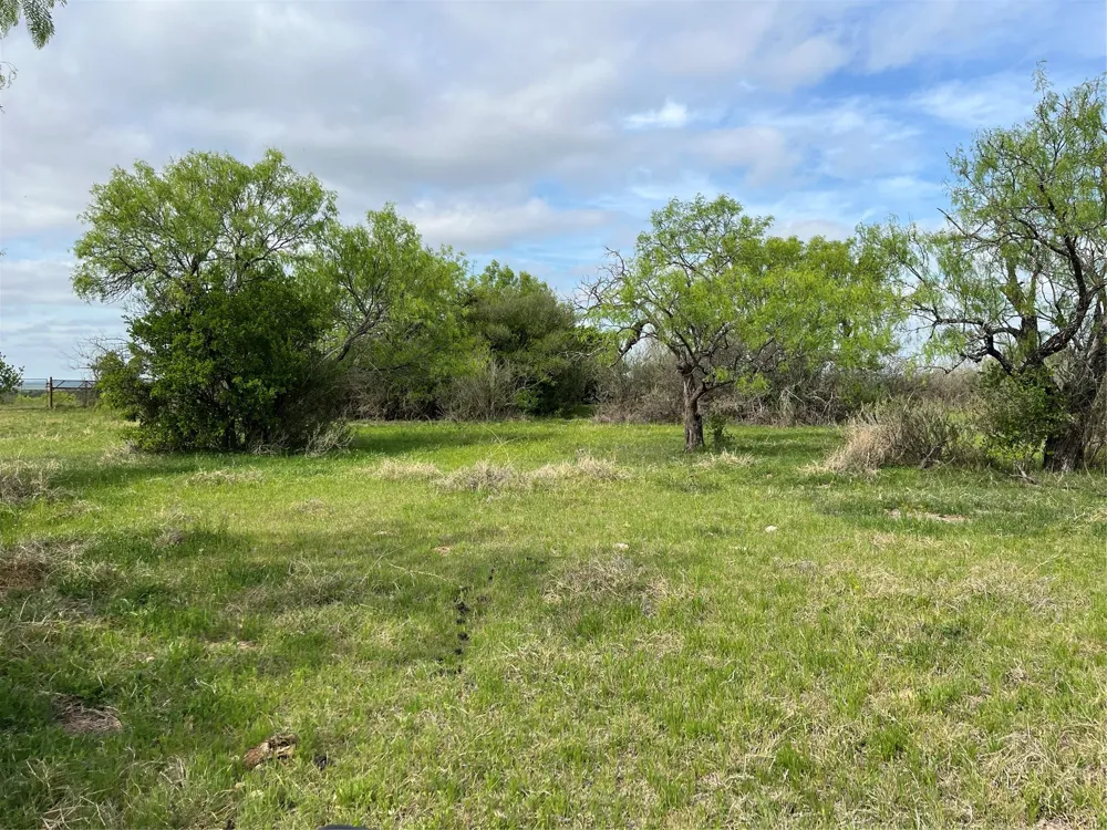2190 W FM 574 ROAD W Mullin, TX 76864