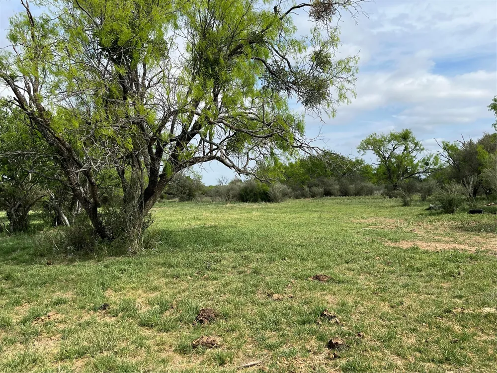 2190 W FM 574 ROAD W Mullin, TX 76864
