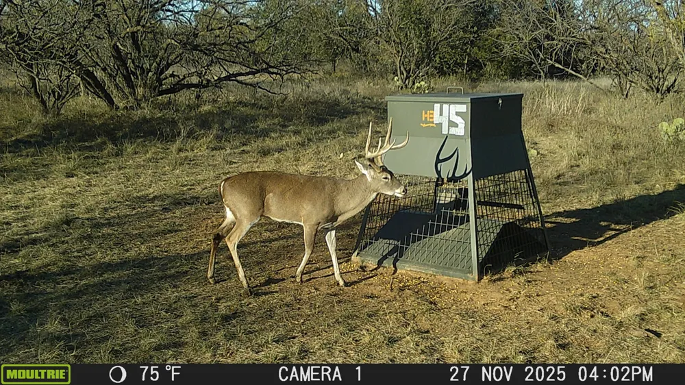 TBD Cntty Rd 291 Breckenridge, TX 76464