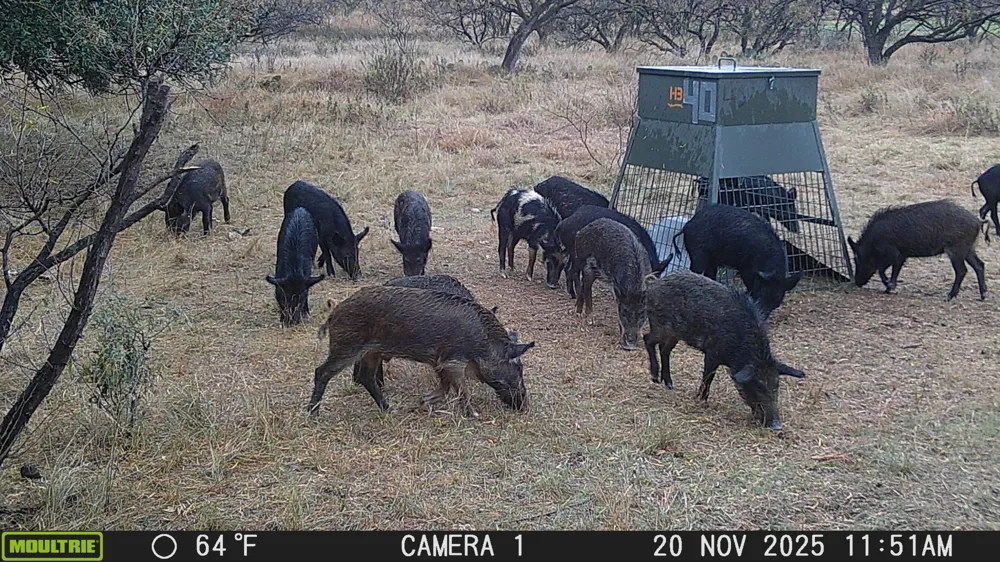 TBD Cntty Rd 291 Breckenridge, TX 76464