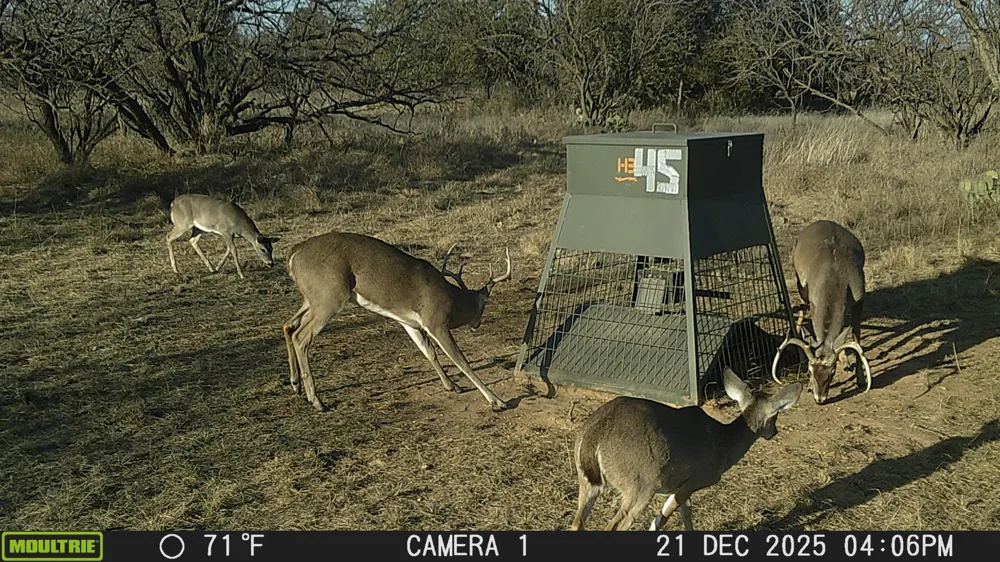 TBD Cntty Rd 291 Breckenridge, TX 76464