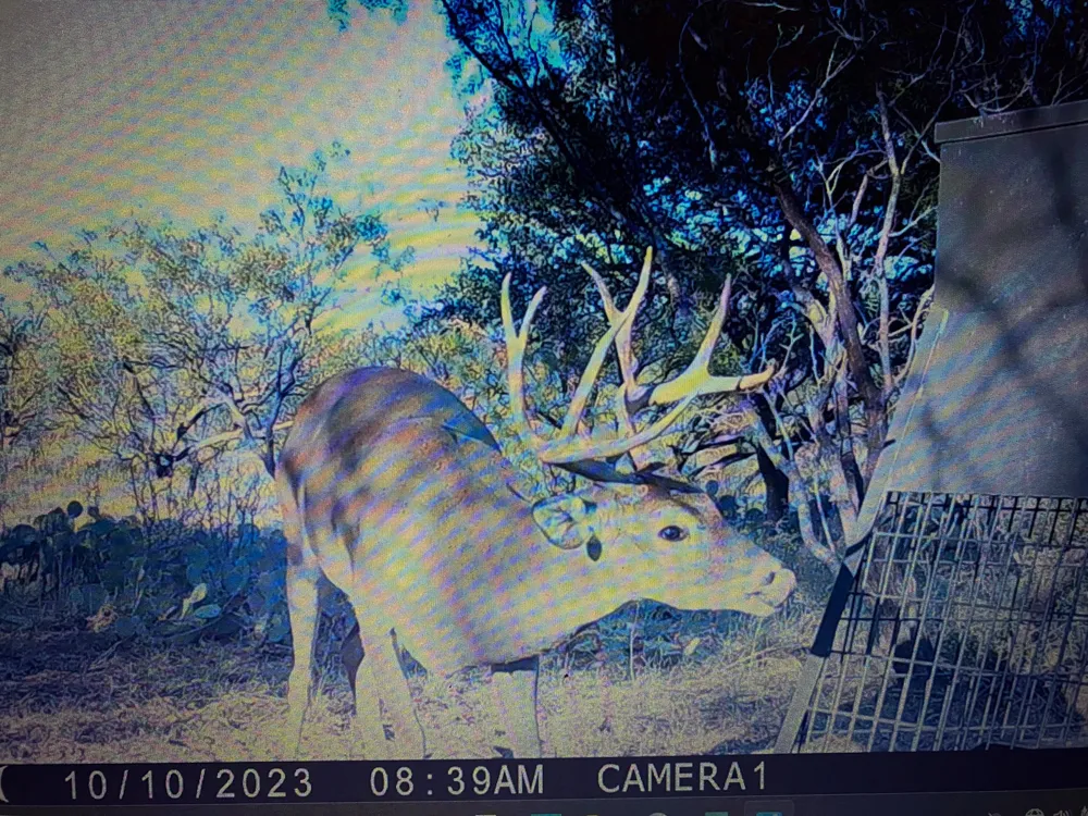 TBD Cntty Rd 291 Breckenridge, TX 76464