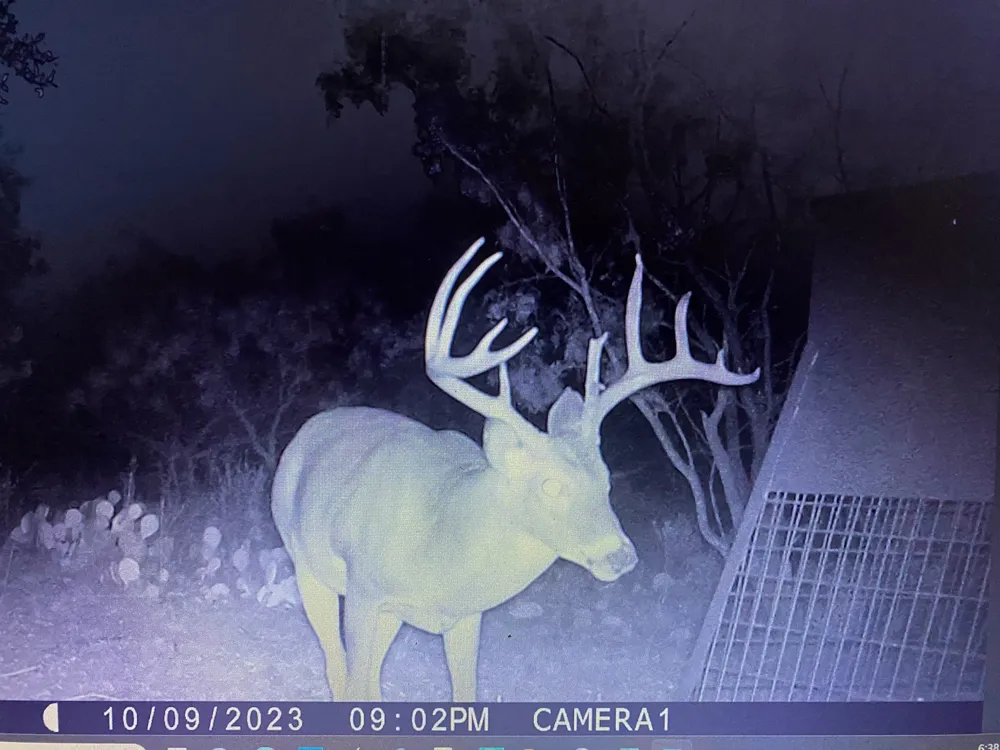 TBD Cntty Rd 291 Breckenridge, TX 76464