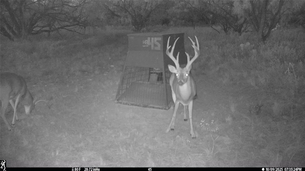 TBD Cntty Rd 291 Breckenridge, TX 76464