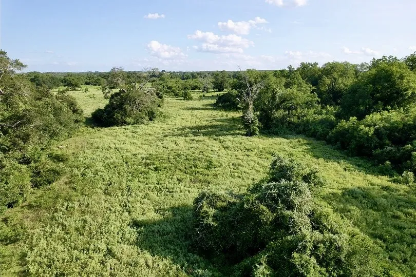 HWY 77 Lexington, TX 78947
