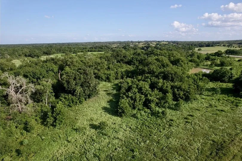 HWY 77 Lexington, TX 78947