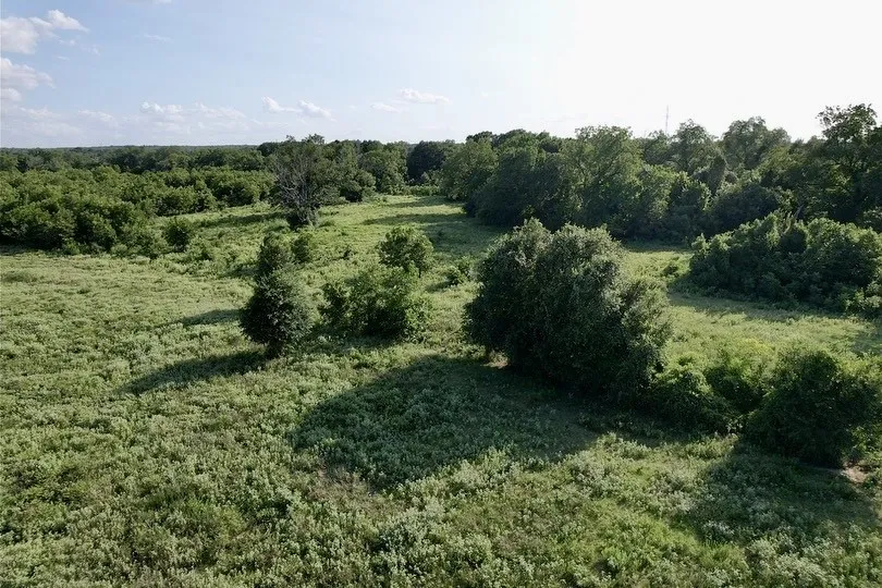HWY 77 Lexington, TX 78947