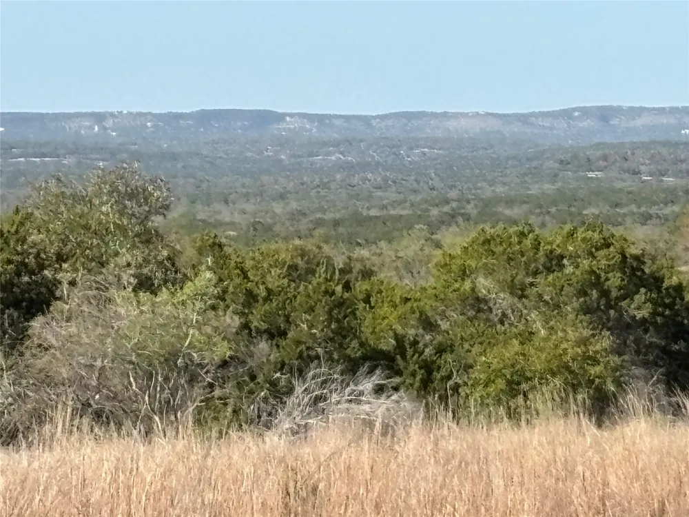 768 Tiswin Trail Blanco, TX 78606