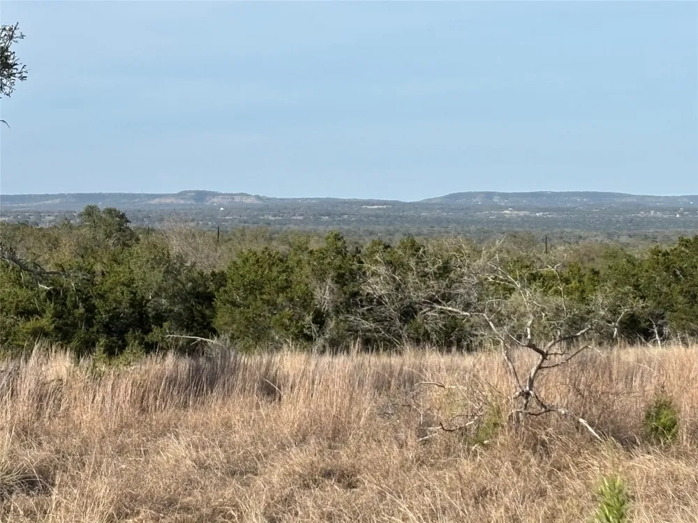 768 Tiswin Trail Blanco, TX 78606