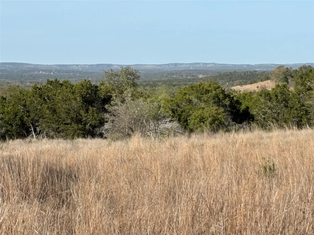 768 Tiswin Trail Blanco, TX 78606