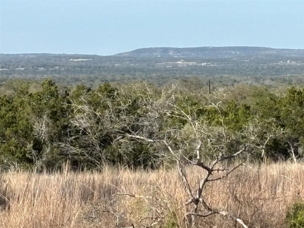 768 Tiswin Trail Blanco, TX 78606