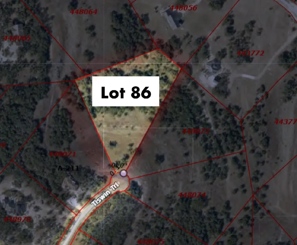 768 Tiswin Trail Blanco, TX 78606