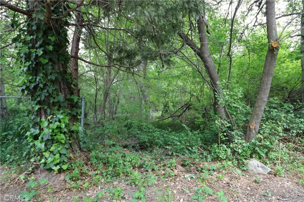 13992 Irving Lane Lytle Creek, CA 92358
