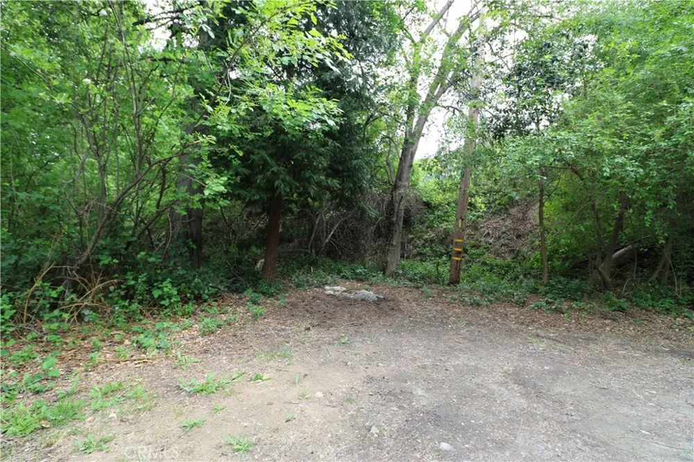 13992 Irving Lane Lytle Creek, CA 92358