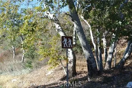 13992 Irving Lane Lytle Creek, CA 92358