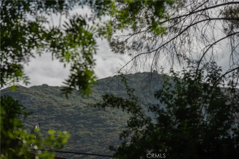 13992 Irving Lane Lytle Creek, CA 92358