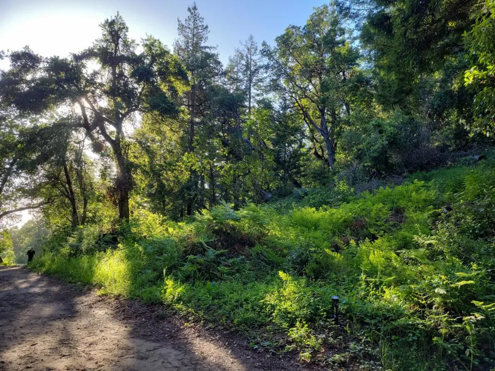 Skyview Ridge Road Boulder Creek, CA 95006