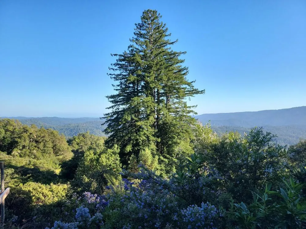 Skyview Ridge Road Boulder Creek, CA 95006