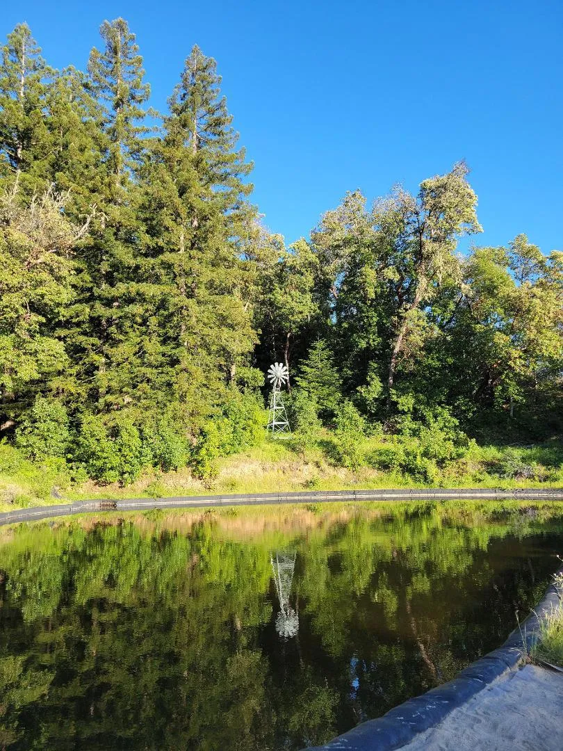 Skyview Ridge Road Boulder Creek, CA 95006