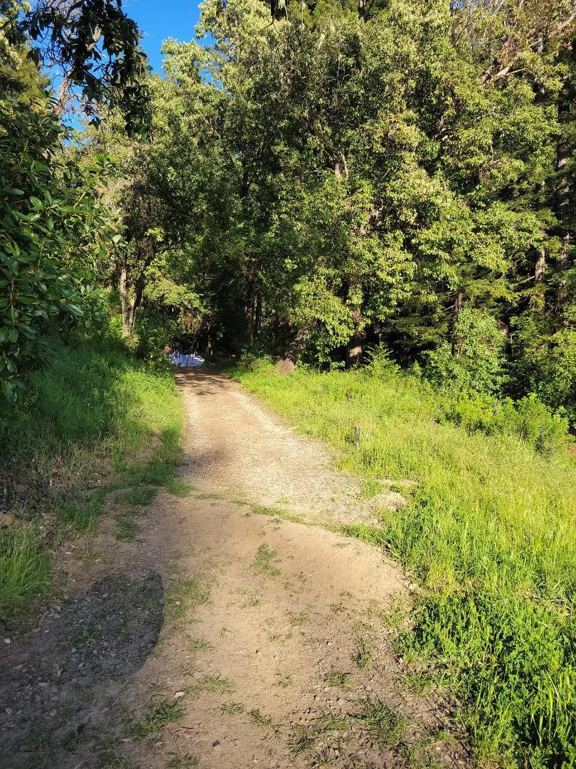 Skyview Ridge Road Boulder Creek, CA 95006