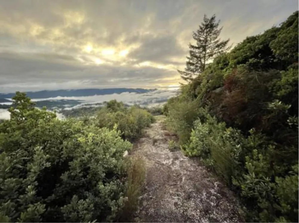 Skyview Ridge Road Boulder Creek, CA 95006