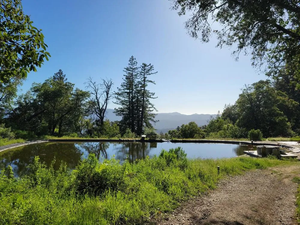 Skyview Ridge Road Boulder Creek, CA 95006