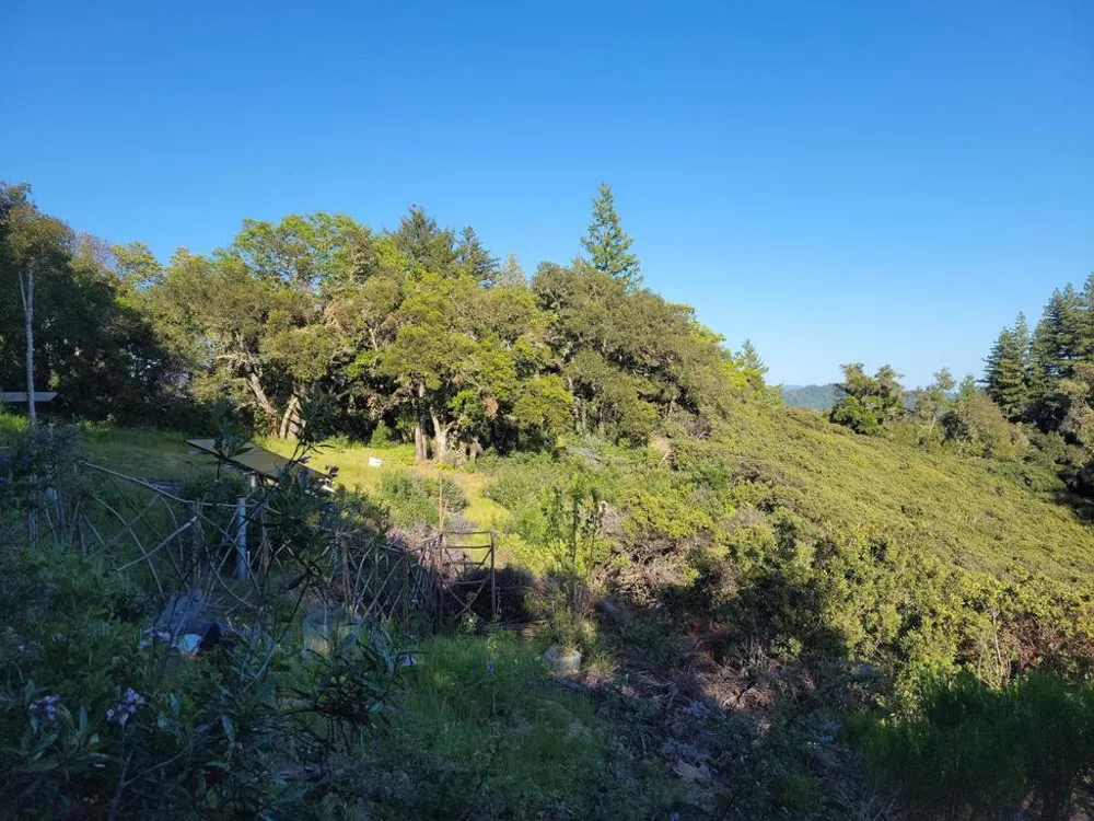 Skyview Ridge Road Boulder Creek, CA 95006