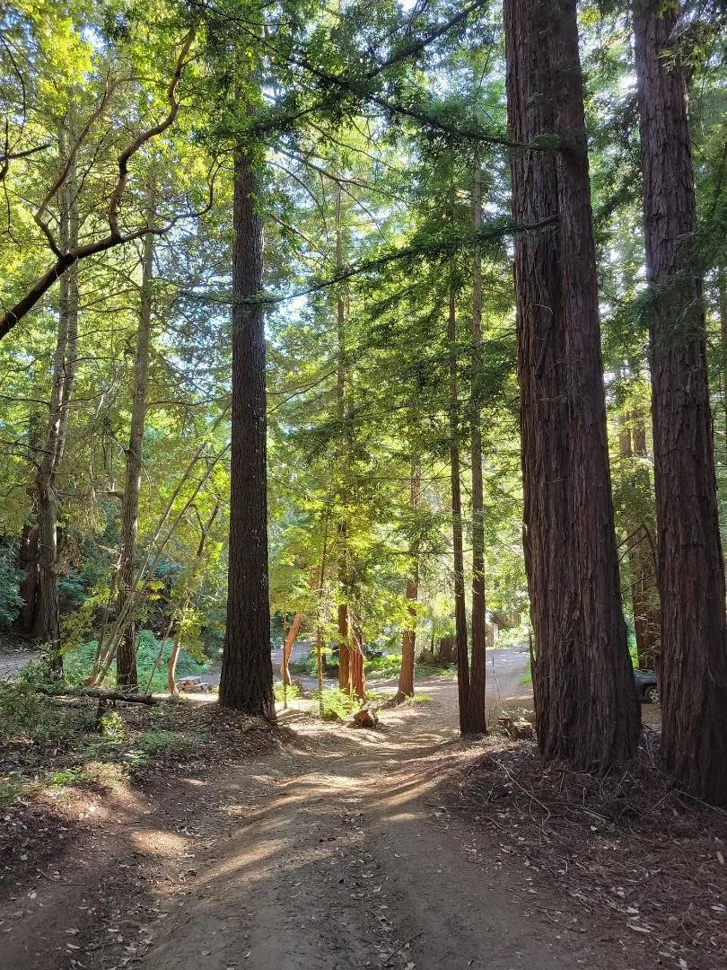 Skyview Ridge Road Boulder Creek, CA 95006