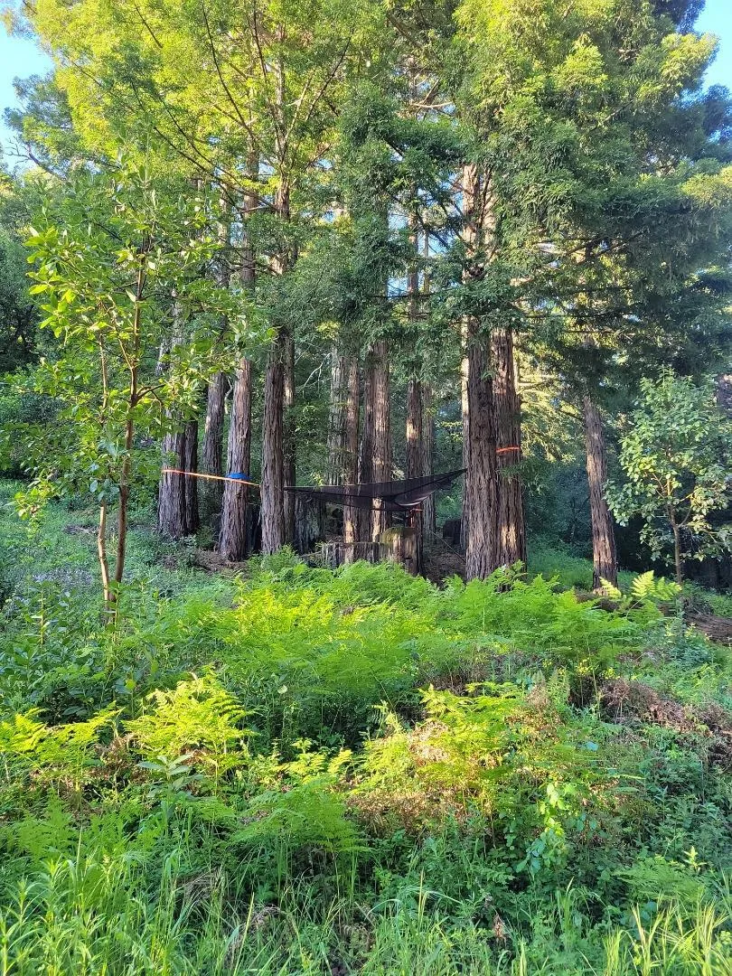 Skyview Ridge Road Boulder Creek, CA 95006