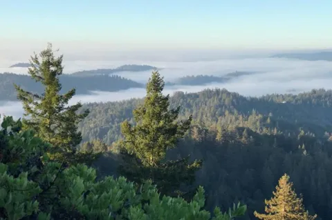 Skyview Ridge Road