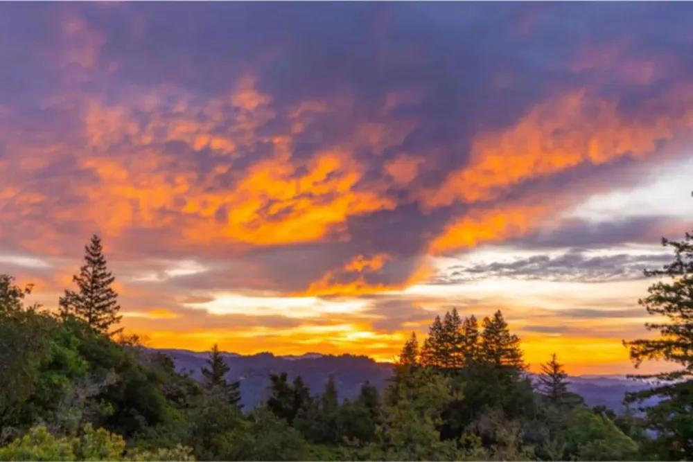 Skyview Ridge Road Boulder Creek, CA 95006