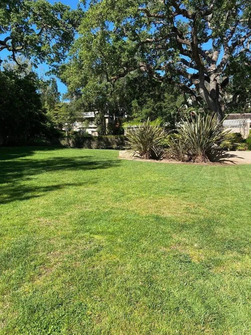 675 Sharon Park Drive #311 Menlo Park, CA 94025