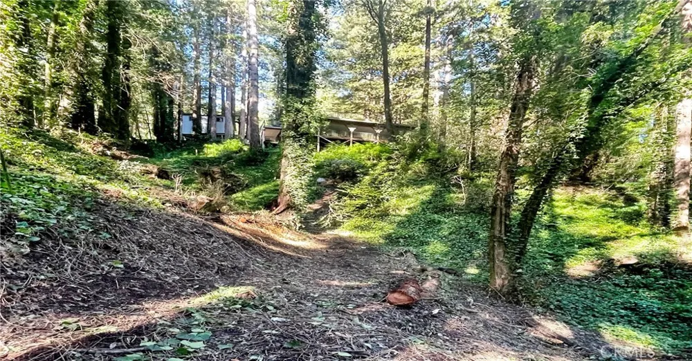 18176 HWY 116 Guerneville, CA 95446