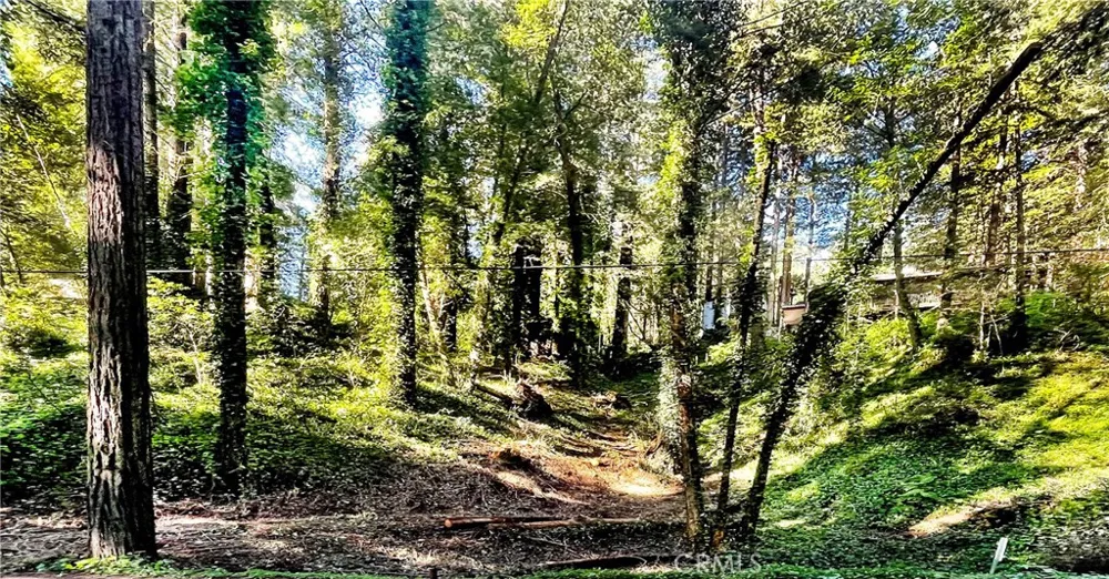 18176 HWY 116 Guerneville, CA 95446