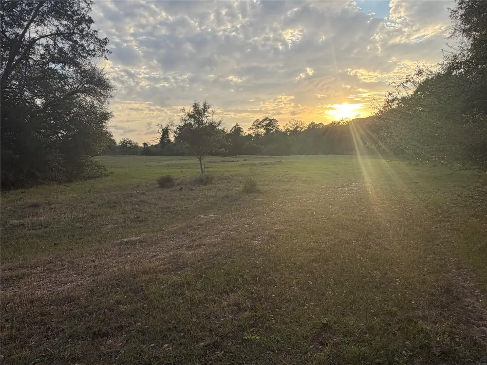 1743 Zimmerscheidt Road New Ulm, TX 78950